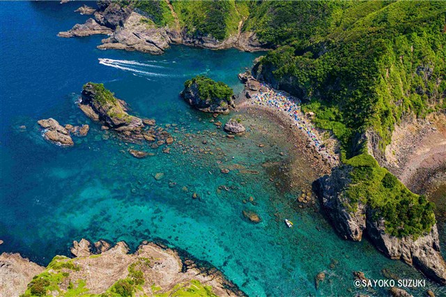 桜まつり駐車場 | 南伊豆町観光協会（Minami-izu Tourism Association）